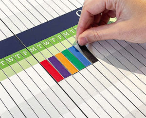 Coloured magnetic labels