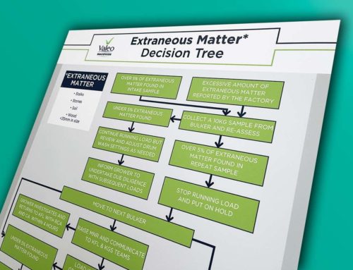 Decision Tree board